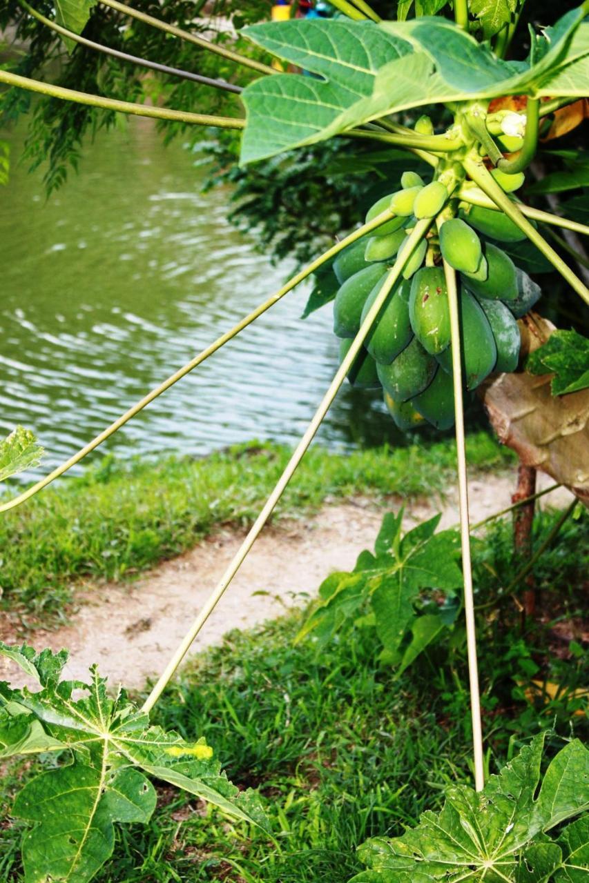 فيلا سانتا مارتافي Cabanas Ecoturisticas Y Club Gaira Tayrona المظهر الخارجي الصورة